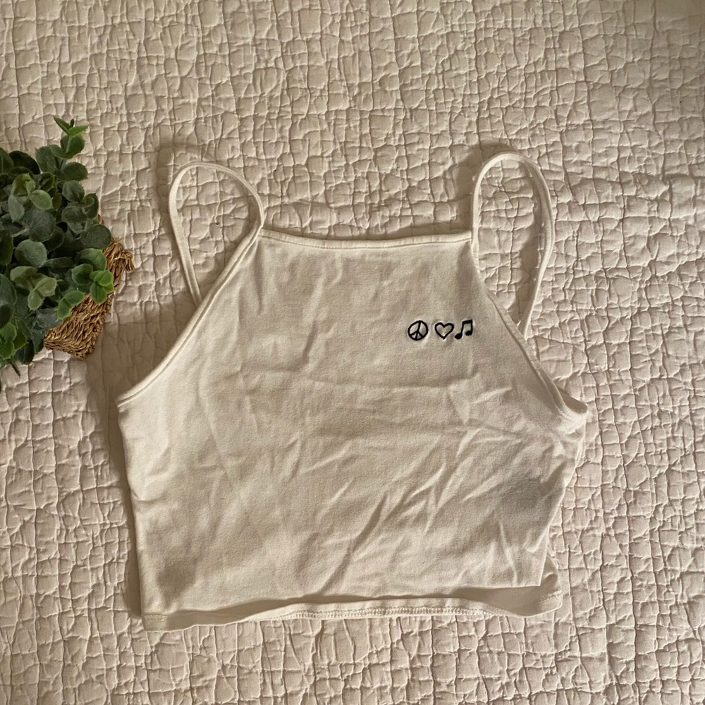 Pacsun Crop Top